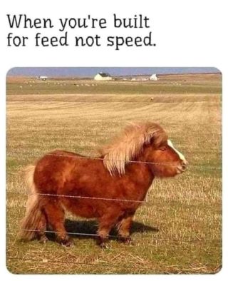 Yup plenty of us stallions built for “feed” not “speed”